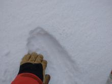 Signs of accumulating snowfall on crust at 7,800'.