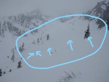 Signs of small (D1) loose wet avalanches from past couple of days on E aspect.