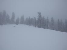 Foggy conditions above about 7,800'.