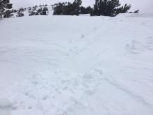 Small loose wet avalanches easily triggered on small test slopes, 11am, E aspect.