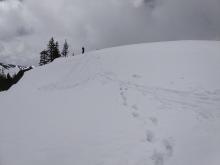 Ski cut triggered loose wet sluff on a nearby E aspect at noon. 