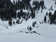 Large chunks of debris at the bottom of this slope. 