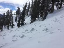 Large debris under a light coat of snow