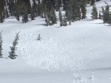 Small roller ball activity from ski turns involving the recent 3-4'' of new snow.