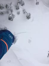 Minor cracking in fresh wind slabs formed today. 