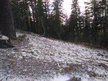 Less than one inch of snow below treeline at 8,000'.
