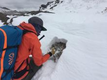 Examining the deepest drift of snow we encountered. 