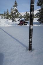 150 cms of snow on a shady slope at the edge of Indian Valley