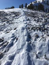 Reverse skin track showing extent of recent wind scouring.