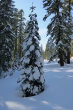 Shaded areas were still holding onto cold wintery snow. 