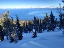 Dense wind affected new snow near the summit with minimal ski penetration.