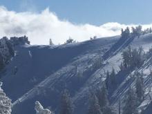 Wind scouring and texture on near and above treeline terrain.