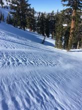 Great day to observe wind altered snow.