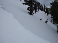 Hard wind slab at treeline with obvious snow surface texture that we chose to avoid.