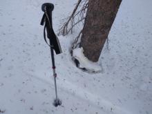 Signs of around 8 inches of snowpack settlement in the past week.