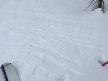 Some weird wind features near edge of Tahoe meadows, close to where snowpit was made.