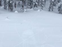 Small loose dry sluffing in steeper terrain near treeline.