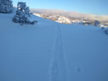 New snow above cornince area on the approach from Old Hwy 40, available for wind transport.