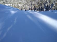 Widespread surface hoar covering open below treeline avalanche terrain.