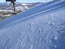 Surface hoar on wind textured surface in ridgetop avalanche start zone.