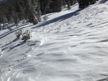 wind textured snow