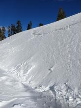 Stubborn hard wind slab on a W facing test slope with some blocks of debris near the bottom. 