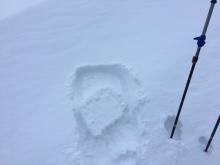 4'' reactive wind slab newly formed from the NE winds.  W aspect at 8000' just off ridgeline.