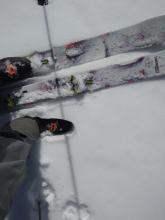 Once the rain and melt/freeze crust had melted away, ski and foot pen increased into the dry snow below. Wind protected E aspect at about 7,900'.