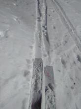 Once the rain and melt/freeze crust had melted away, ski and foot pen increased into the dry snow below. Wind protected E aspect at about 7,900'.