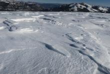 Open east facing slopes on this ridge featured impressive sasgrugi and scoured surfaces. 