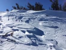 Open areas near treeline terrain with wind scouring. 