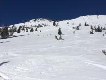 Upper Rose Knob with supportable snow conditions above 8000'.