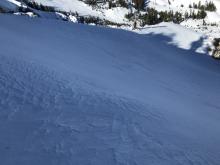 North aspect mix of wind drifted snow and crust