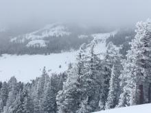 Low level clouds with periods of very light snow.