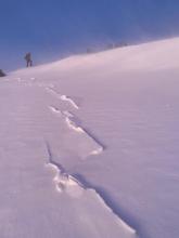 Cracking in small wind slab on SSW aspect of Tamarack summit approach 
