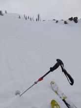 Signs of wind transport in exposed near and above treeline terrain.