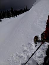 Skier triggered shooting crack on an ENE facing wind loaded test slope.