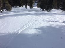 Wind scoured snow in below treeline terrain