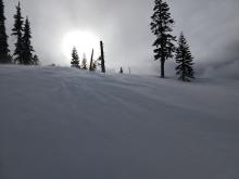 Wind blown snow coming over the ridge on a near treeline slope.