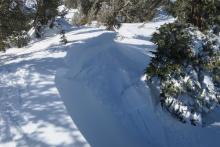 Compact car size cornice that broke easily from behind the small tree. 