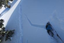 Shooting cracks in wind slab terrain. 