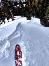 Ski kick triggered shooting cracks on ENE facing wind-loaded slope.