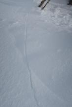 Snow settlement crack