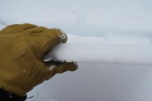 2cm rain crust on surface that was frozen in open areas. 