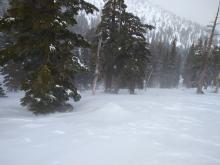 Drifting snow near treeline.