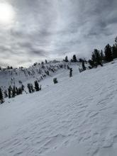 summit bowl