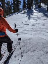 Wind effects on a more exposed ridgeline