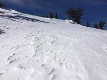 Light amounts of previous wind blown snow just below ridgeline at 9000'.