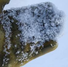 Poking around on north facing slopes near top of Stevens found some areas with large rounding facets. 