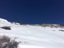 Snow coverage above 9000' on south aspect.